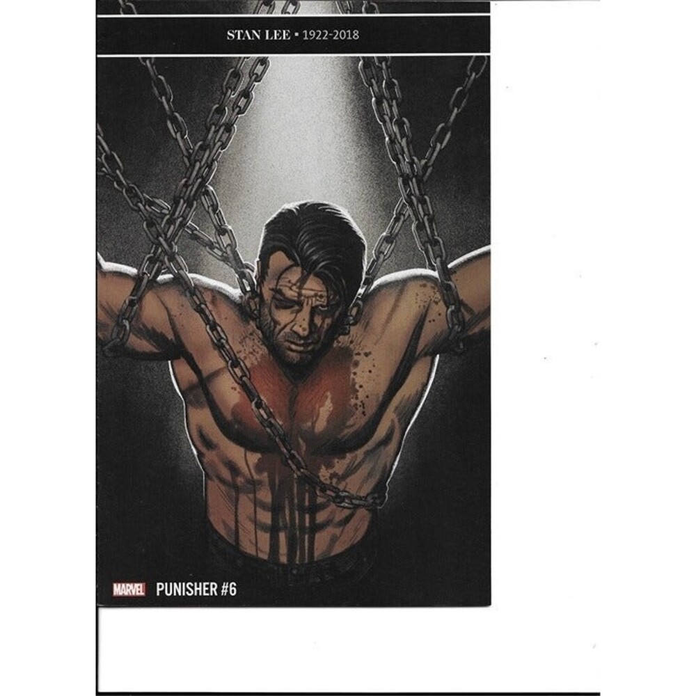 The Punisher Issue #6 Stan Lee Memorial